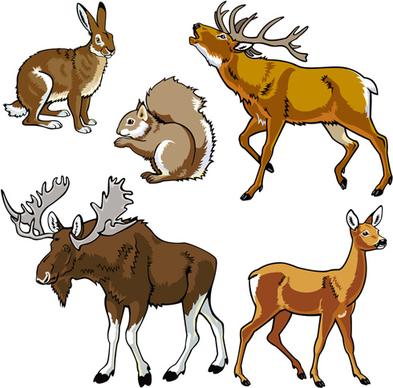 vector set of wild animals design graphic