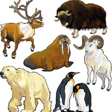 vector set of wild animals design graphic