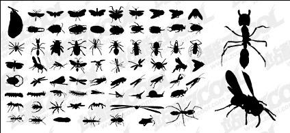 Vector silhouette of various insect material