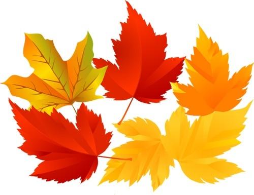 leaves decoration background yellow and red foliage design