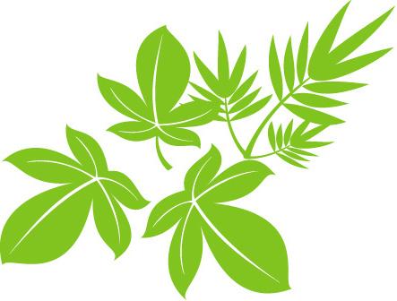 vector tree leaf