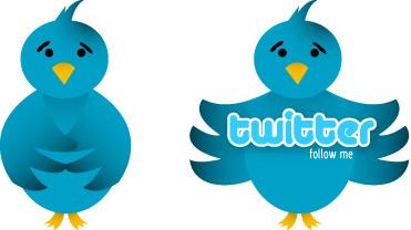 vector twitter icon bird