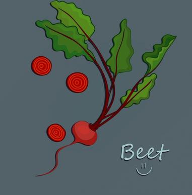 vegetable background beet icon green red design