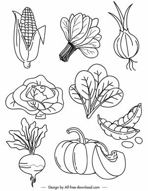 vegetables icons black white handdrawn sketch