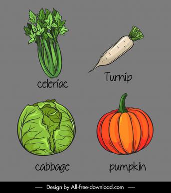 vegetables icons handdrawn celeriac turnip cabbage pumpkin sketch