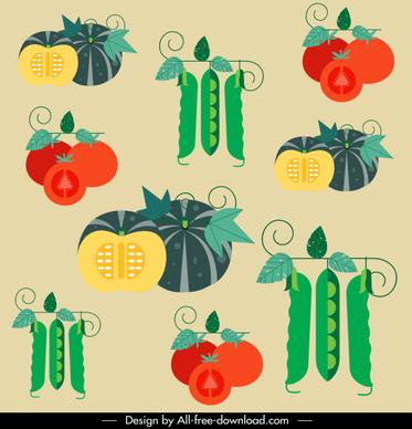 vegetables pattern colorful flat pumpkin tomato bean sketch