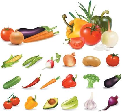 vegetables vector
