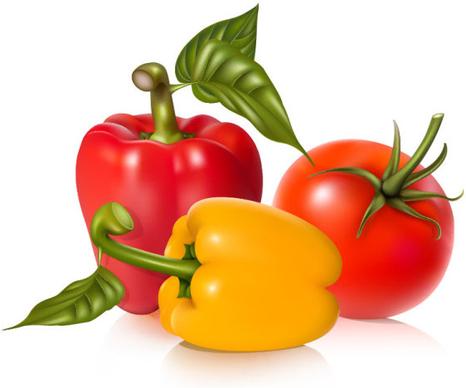 vegetables vector graphics