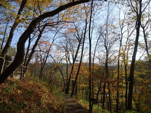 view from hiking trail at effigy mounds iowa