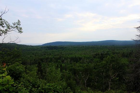 view of superior national forest minnesota