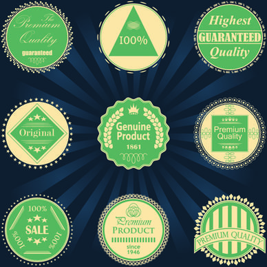 vintage green quality badge vector