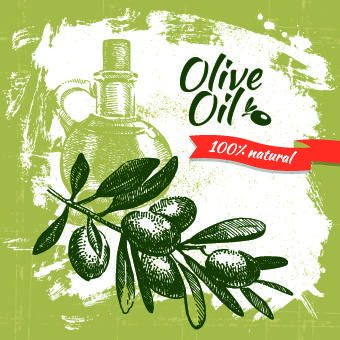 vintage olive oil background vector