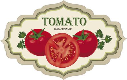 vintage tomato labels design vector