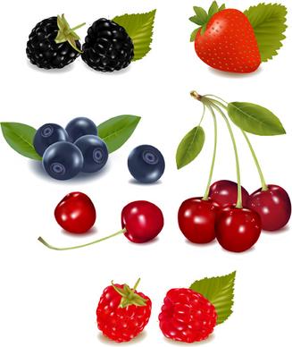 vivid fresh vegetables and fruits vector