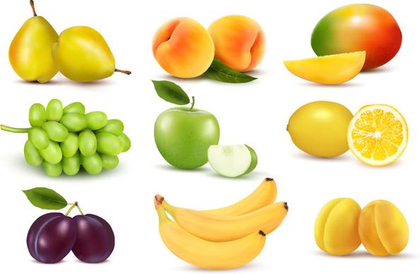 vivid fruits design vector graphics