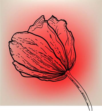 vivid hand drawn tulip background vector