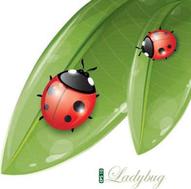vivid insects design element vector