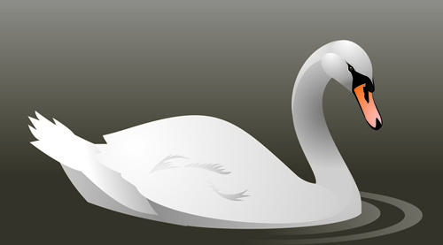 vivid swans elements vector