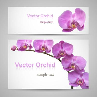 vivid with flower banner design vector
