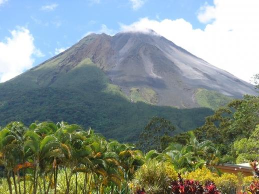 volcano plant landscape