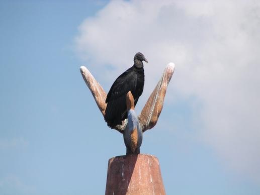 vulture bird art