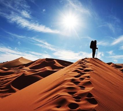 walk the desert picture