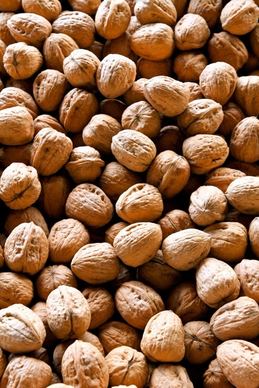walnuts legumes nuts