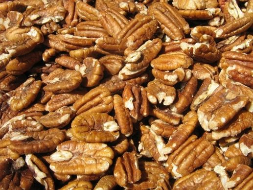 walnuts nuts nuclear