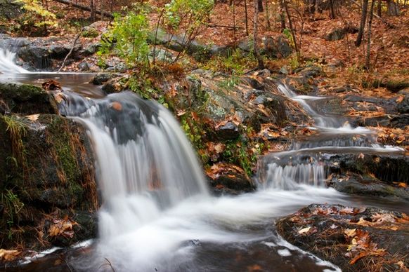 water stream foliage fall leaves rocks