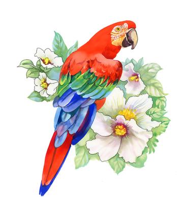 watercolor drawn birds with flowers vector design