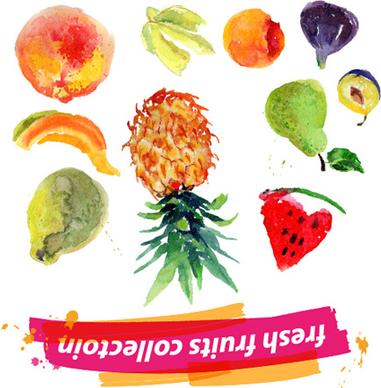 watercolor fresh fruits set vector