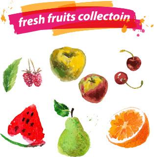 watercolor fresh fruits set vector