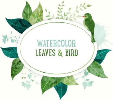 watercolor leaves with bird vector background