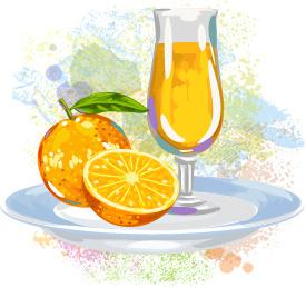 watercolor orange with juice vector
