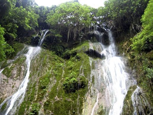 waterfalls over lush jungle tree tops