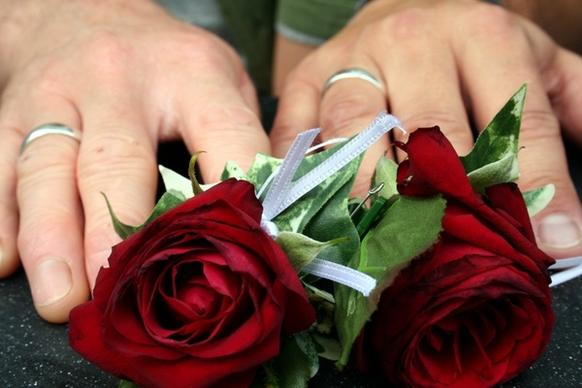 wedding roses rings
