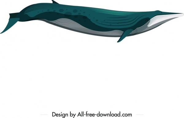 whale animal icon blue white decor motion design