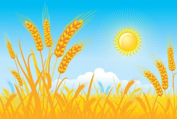 countryside landscape background cereal field sun icons