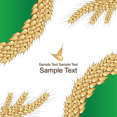 wheat grain greeting card vector