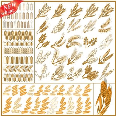 wheat pattern 04 vector