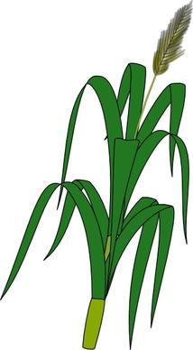 Wheat Plant Food clip art