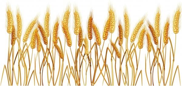 wheat background classical yellow handdrawn design