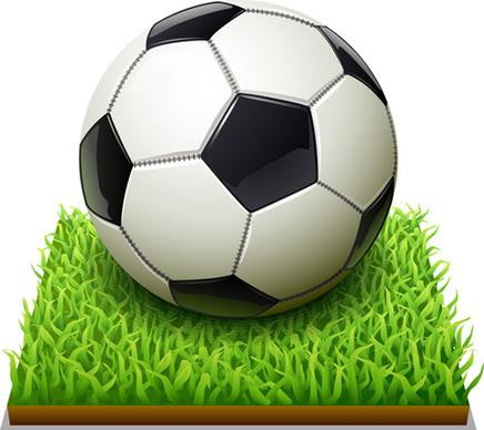 white black soccer and grass vector
