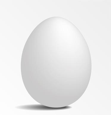white eggs design vector