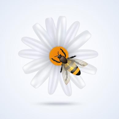 white flower with bee vector