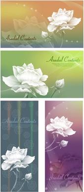 white roses and vector fantasy background