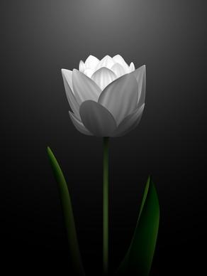 tulip painting modern contrast closeup design blooming sketch