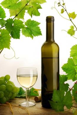 white wines of highdefinition picture 1