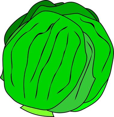 Whole Lettuce clip art