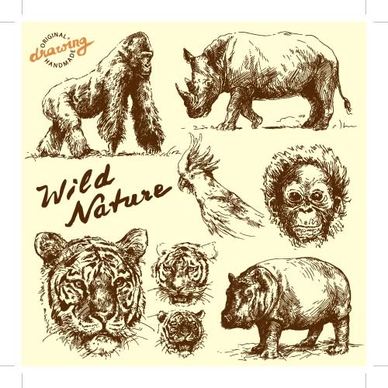 wild animals hand drawing vectors set
